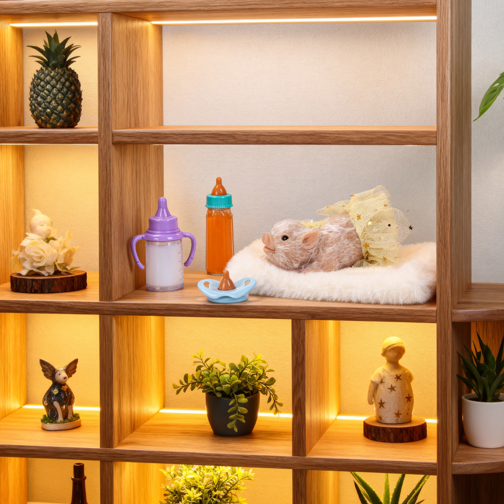 ตุ๊กตาหมูซิลิโคนขนาดเล็ก ของเล - Baby Nursery Dolls บทวิจารณ์และราคา