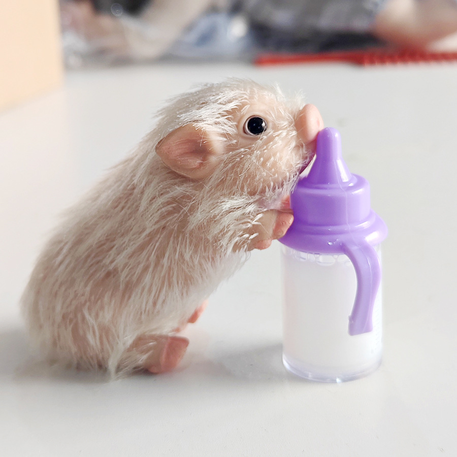 ของเล่นลูกหมูน่ารักสำหรับเด็กแ - Baby Nursery Dolls บทวิจารณ์และราคา